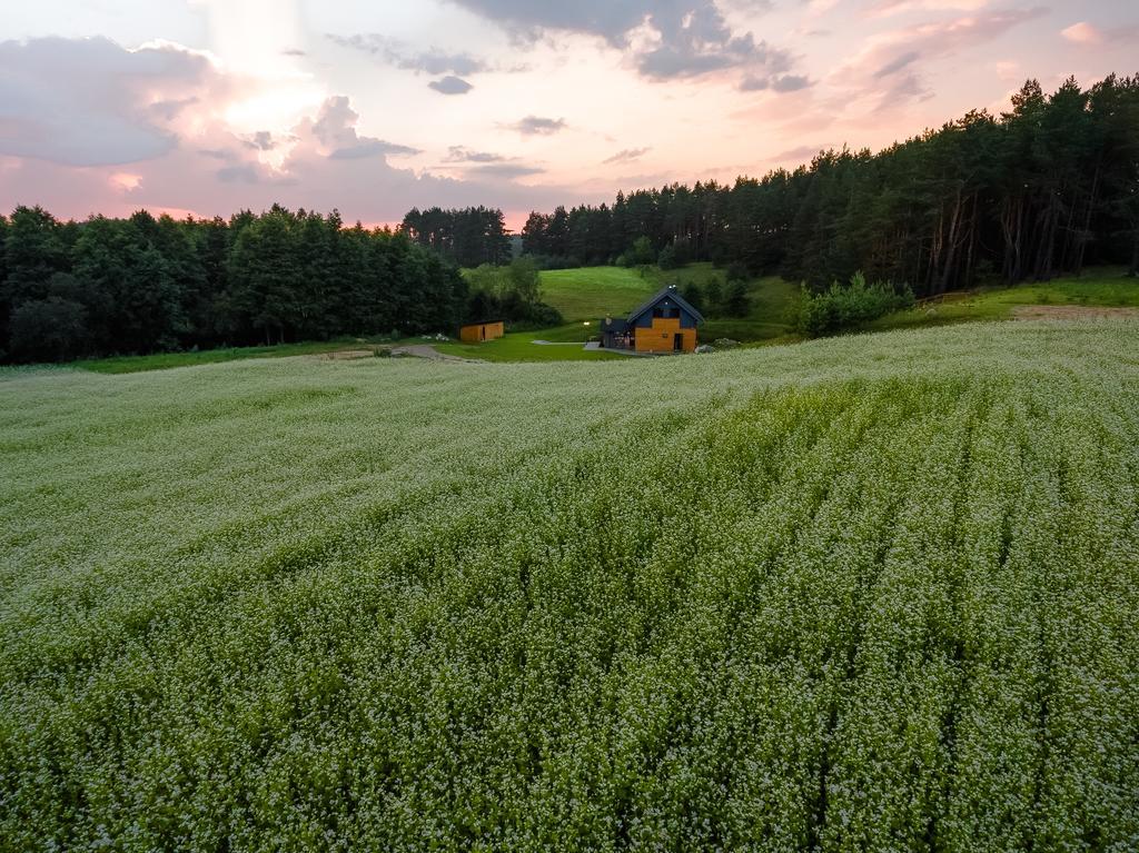 Anupro Villa Troki Zewnętrze zdjęcie
